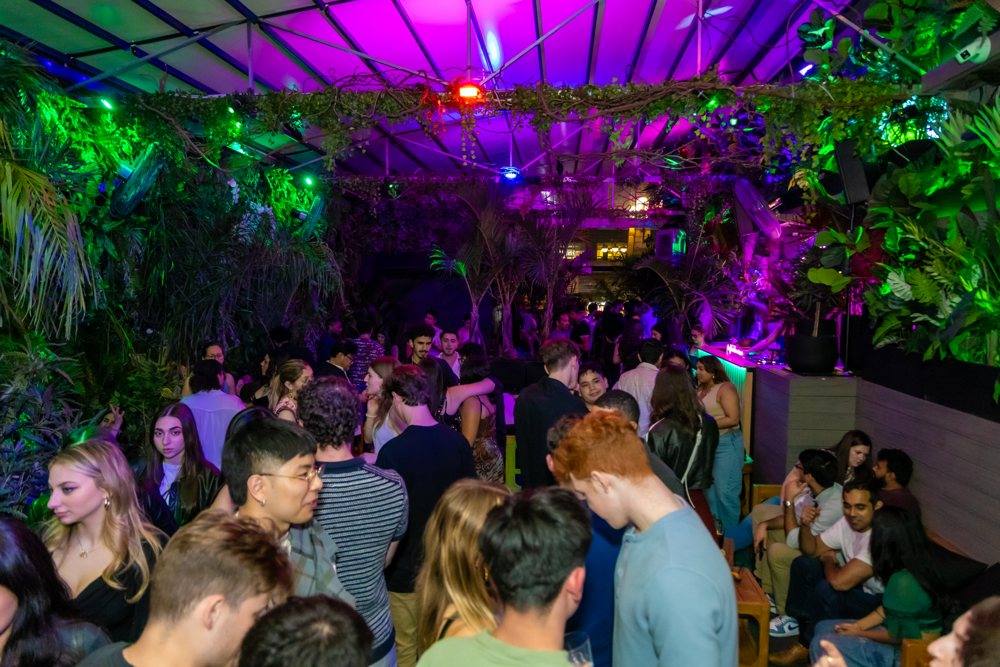 A full rooftop under the garden canopy